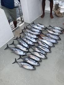 Great day of fishing 
