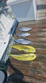 Great fishing trip with Captain Teddy
