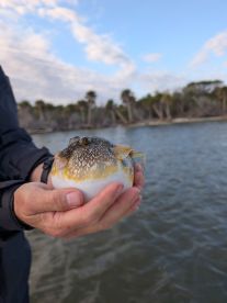 Fishing trip