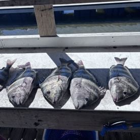 Great inshore trip