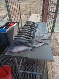 March fishing trip