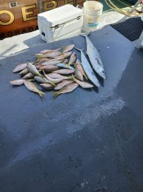Great fishing with friends 