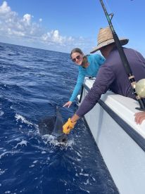 First Sailfish!