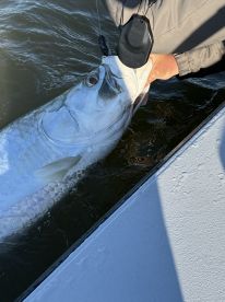 Half day Guide fishing 