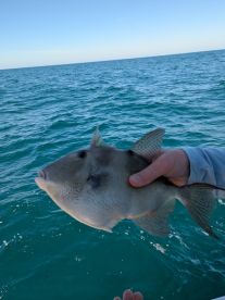 Great fishing experience 