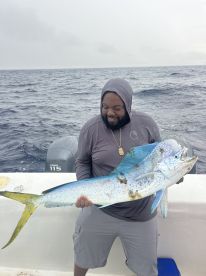 bog mahi