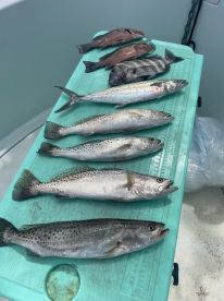 Despite the weather we still caught fiah