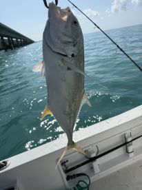 Great day on the water