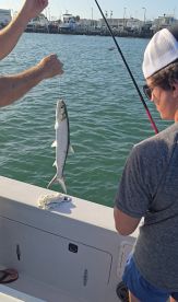 Caught alot of fish in a hurry
