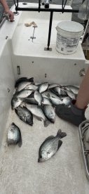 Excellent Crappie Fishing and Guide