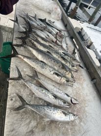 Fishing with Mike Sandbar