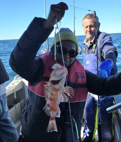 Kaikoura Trip