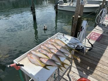 Fantastic morning on the water 