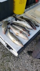 Fishing with Earl