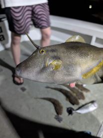 Great day with Ian on Port Stephens