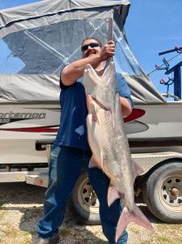 Steve and Travis put us on spoonbills all 3 days