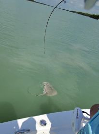 Marco Fishing Company is the best 