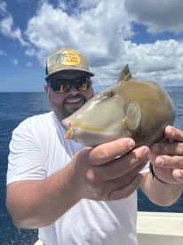 Nice quick trip for a fish fix
