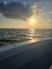 🐠 🐟WoW, What an experience!🐟🐠