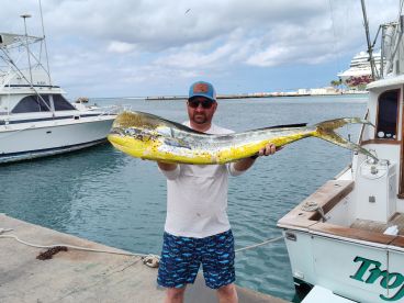 Holy mahi 