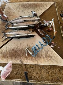 Got plenty of fish on an off-season