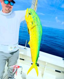 Never caught so many in my life!