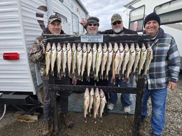 Exceeded Expectations 