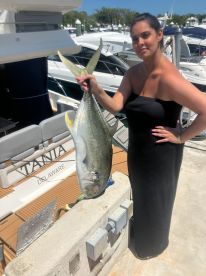 Amazing sail fish 