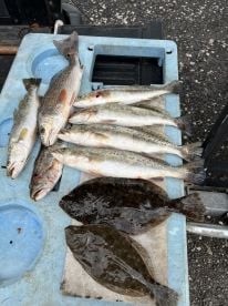 Tough day, but but scratch scratched out a nice mess of fish to take home