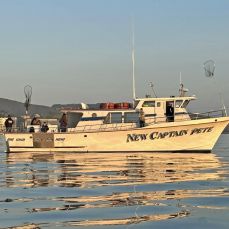 New Captain Pete Sportfishing profile photo
