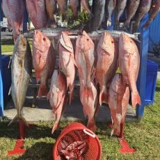 john c profile photo