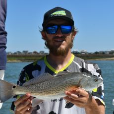 Will Sanchelli profile photo