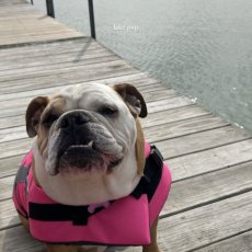 Emily O.
