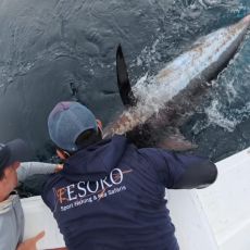 Tesoro Galapagos Fishing and Yatch Charters  profile photo