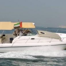 The Rose Beach Boat & Yacht Charters