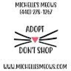 Michelle P.