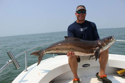 Grading Scales Sportfishing Llc