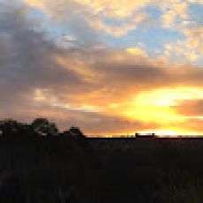 Private Charter Waikiki Deep Sea Fishing