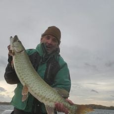 Dave Gausman profile photo