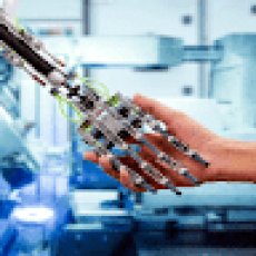 Martin Eduardo Palma Mejia