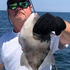 Carter Mobile Marine & Charter Fishing Services.