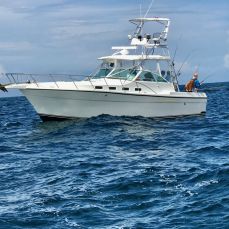 Galveston Deep Sea Fishing Charters