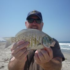 Scale Chaser Fishing Guide