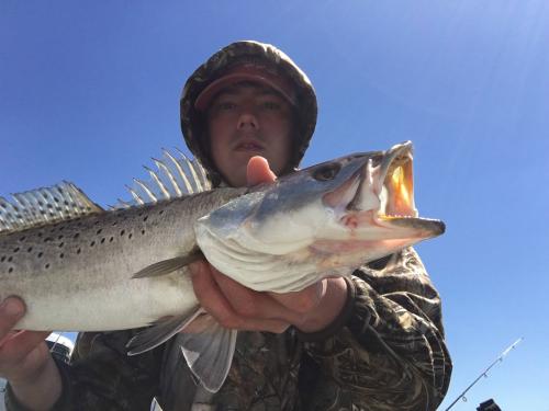 barlows bait and tackle