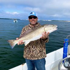Sump Picasso Selskab Captain Tim Rudder, Morehead City, United States - FishingBooker