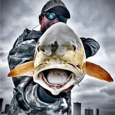 Brad Nuss