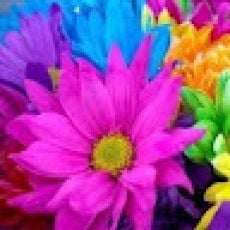 On The Hook Guide Fishing – Branson