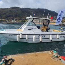 ODF - Ocean Dive & Fishing LDA