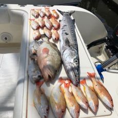 Fun Day Charters
