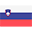 Slovenia country flag